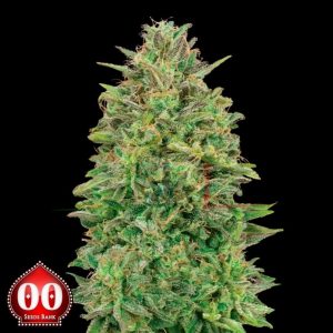 00 Skunk - 00 Seeds