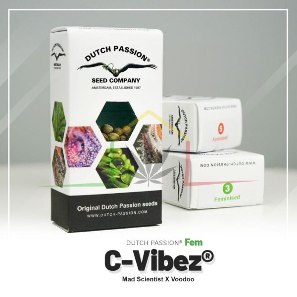 C-Vibez - Dutch Passion