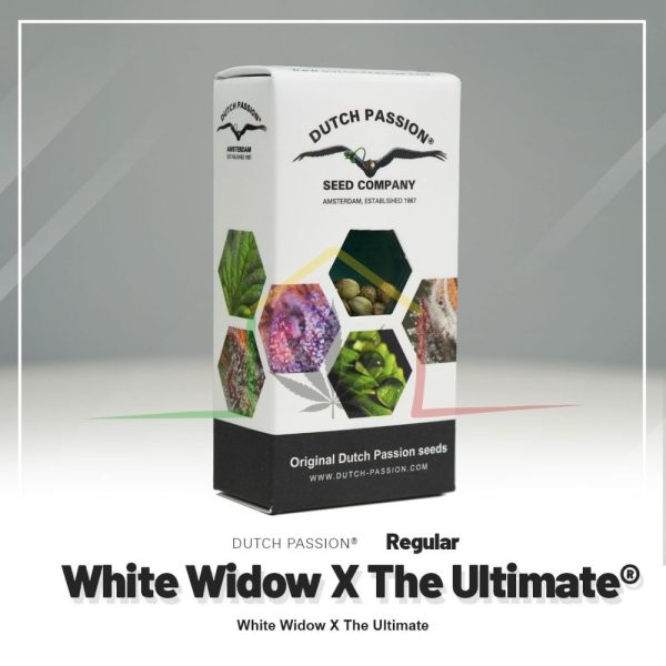 White Widow x The Ultimate Regular - Dutch Passion