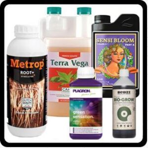 ENGRAIS POUR CANNABIS