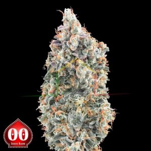 Blueberry Fast - 00 Seeds