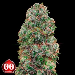Bubblegum - 00 seeds
