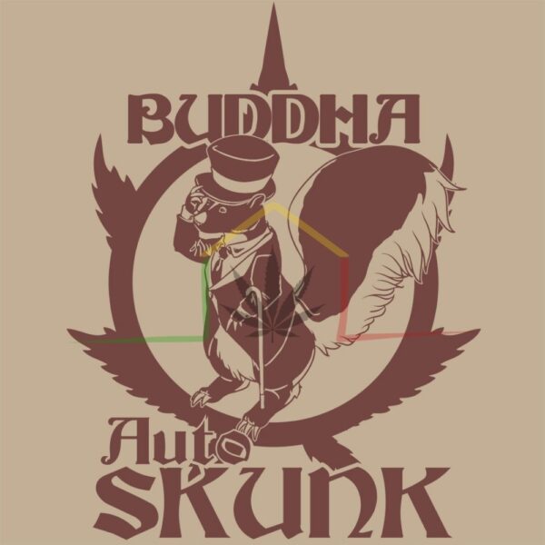 BUDDHA AUTO SKUNK