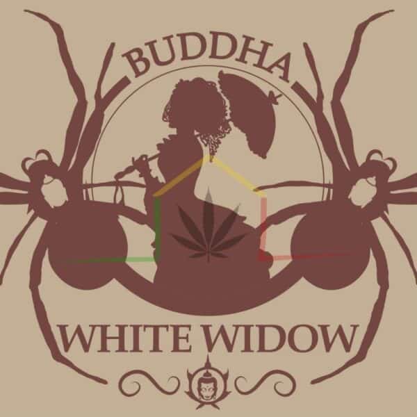Buddha White Widow