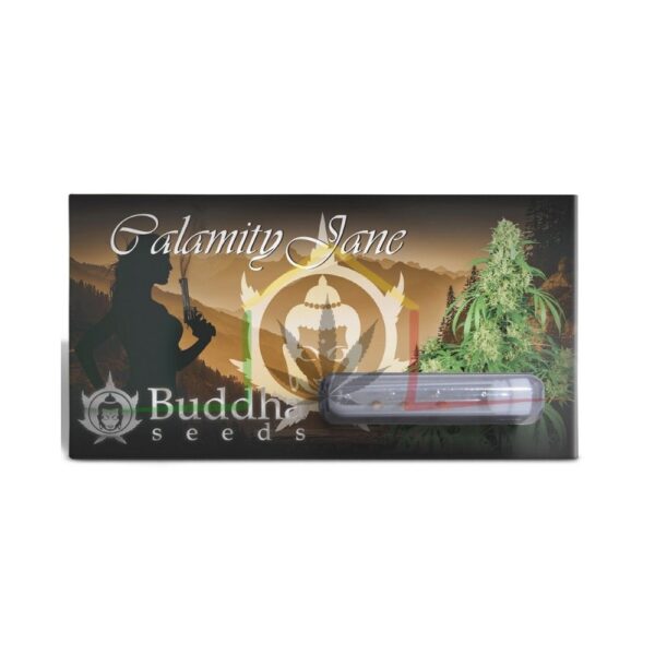 calamity jane auto Buddha Seeds