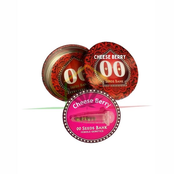Cheese Berry - 00 seeds