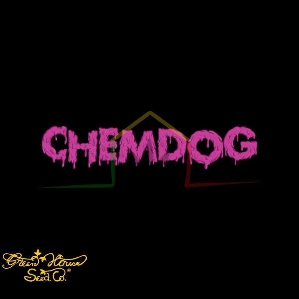 Chemdog - Green House Seeds