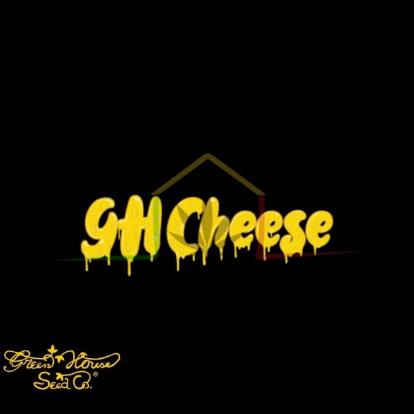 GH Cheese - Green House Seeds