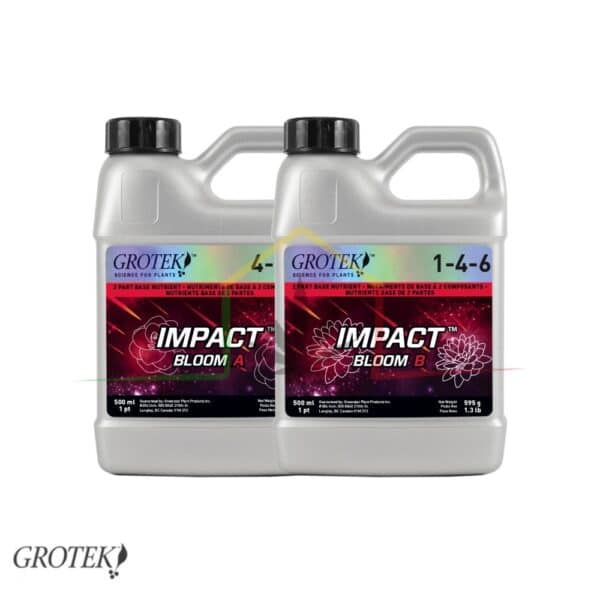 Impact Bloom A + B