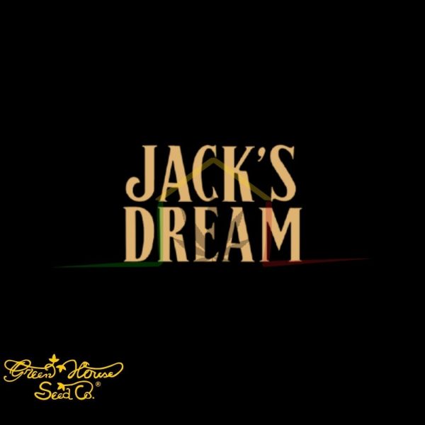 Jack's Dream - Green House Seeds