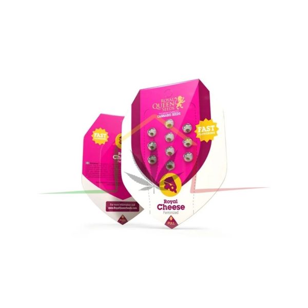 ROYAL CHEESE FAST FLOWERING - Imagen 2