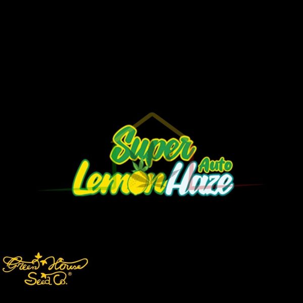 Super Lemon Haze Auto - Green House Seeds