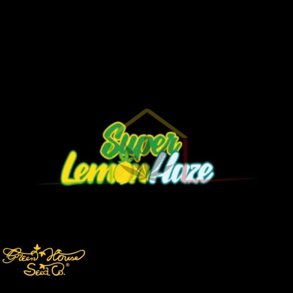 Super Lemon Haze - Green House Seeds
