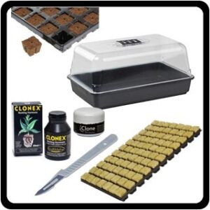 MATERIEL POUR BOUTURAGE