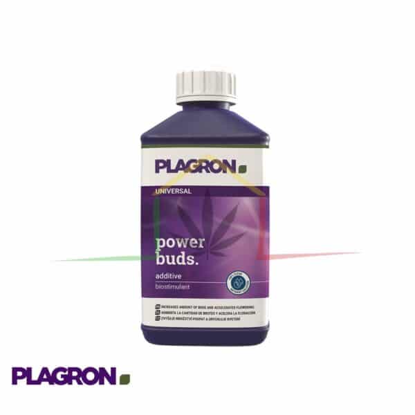Power Buds 1L