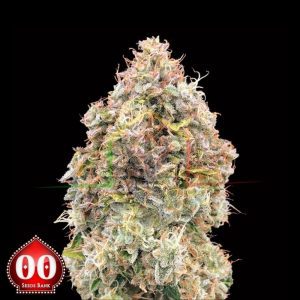Do-Si-Dos Cookies Fast - 00 Seeds
